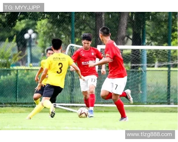 中国足球青训难以培养顶级球星的深层原因与对策分析